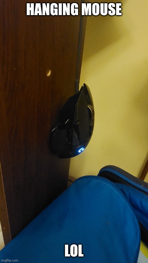 He's still hanging over there, should I put him back on place? | HANGING MOUSE; LOL | image tagged in funny,mouse,gaming | made w/ Imgflip meme maker