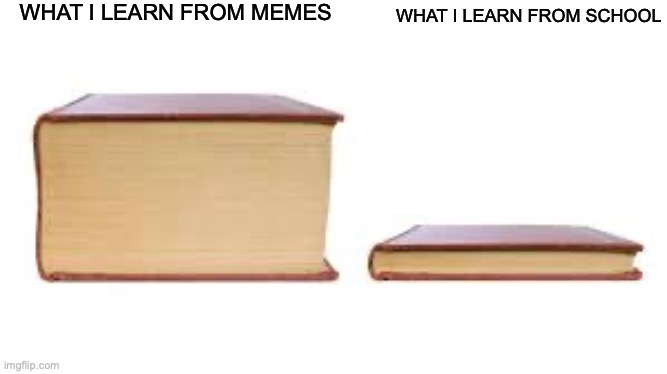 Big book small book | WHAT I LEARN FROM MEMES; WHAT I LEARN FROM SCHOOL | image tagged in big book small book | made w/ Imgflip meme maker