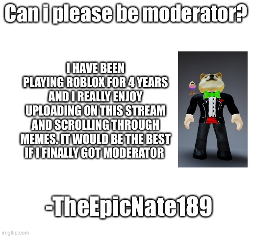Blank White Template | Can i please be moderator? I HAVE BEEN PLAYING ROBLOX FOR 4 YEARS AND I REALLY ENJOY UPLOADING ON THIS STREAM AND SCROLLING THROUGH MEMES. IT WOULD BE THE BEST IF I FINALLY GOT MODERATOR; -TheEpicNate189 | image tagged in blank white template | made w/ Imgflip meme maker