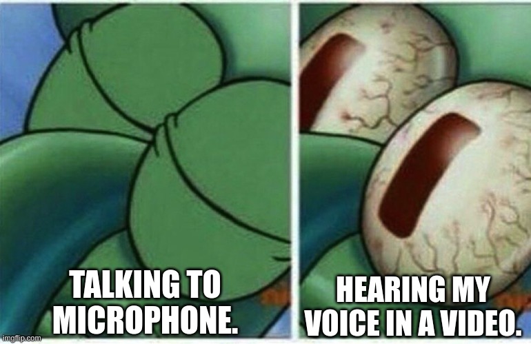 Wut Da fuc |  TALKING TO MICROPHONE. HEARING MY VOICE IN A VIDEO. | image tagged in squidward | made w/ Imgflip meme maker