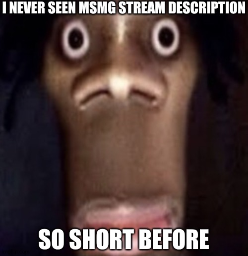 Quandale dingle | I NEVER SEEN MSMG STREAM DESCRIPTION; SO SHORT BEFORE | image tagged in quandale dingle | made w/ Imgflip meme maker