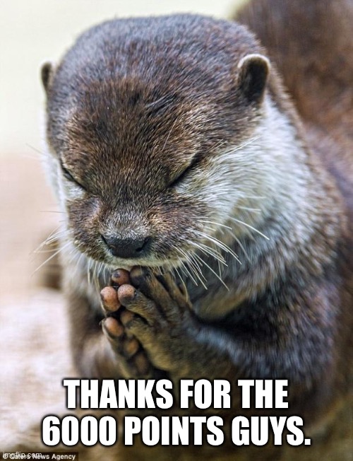 Thank you. | THANKS FOR THE 6000 POINTS GUYS. | image tagged in thank you lord otter,6000 points,thanks,memers,oh wow are you actually reading these tags | made w/ Imgflip meme maker