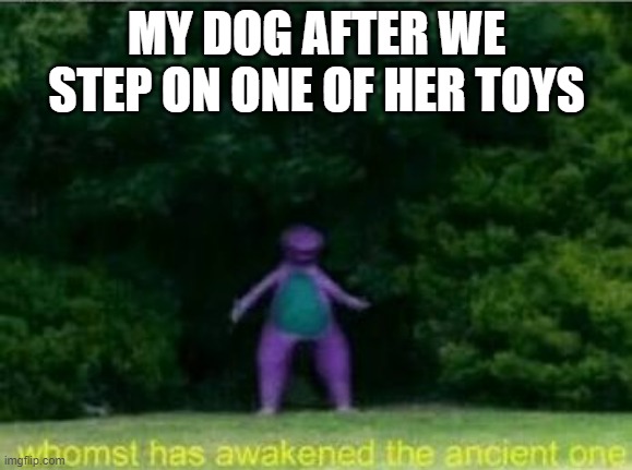 my dog be like |  MY DOG AFTER WE STEP ON ONE OF HER TOYS | image tagged in whomst has awakened the ancient one,dogs,memes,lol so funny | made w/ Imgflip meme maker