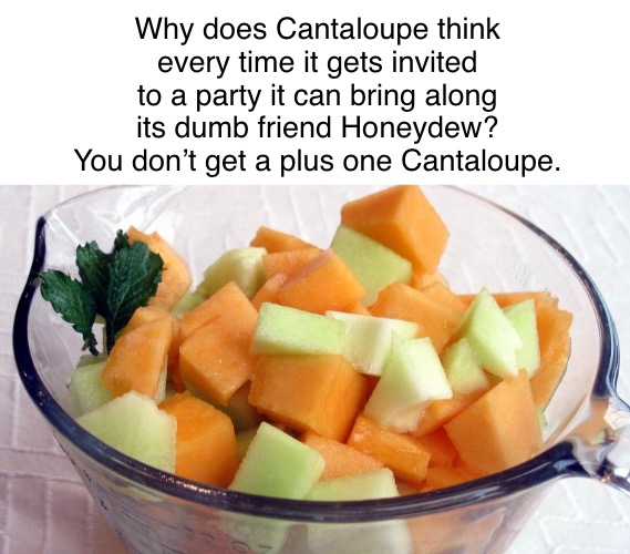 You Gotta Keep ‘Em Separated | Why does Cantaloupe think every time it gets invited to a party it can bring along its dumb friend Honeydew?
You don’t get a plus one Cantaloupe. | image tagged in funny memes,bojack horseman,things that irritate me | made w/ Imgflip meme maker