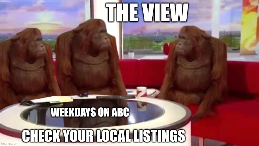 The View | THE VIEW; WEEKDAYS ON ABC; CHECK YOUR LOCAL LISTINGS | image tagged in where monkey | made w/ Imgflip meme maker