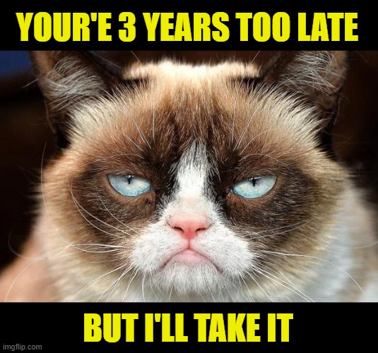 Grumpy Cat Not Amused Meme | YOUR'E 3 YEARS TOO LATE BUT I'LL TAKE IT | image tagged in memes,grumpy cat not amused,grumpy cat | made w/ Imgflip meme maker