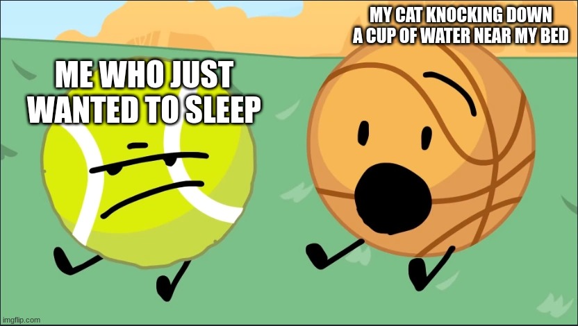 bro it's 4 am, just finished mopping, i'm on 3 hours of sleep, and the cover of my sketchbook is wet... great | MY CAT KNOCKING DOWN A CUP OF WATER NEAR MY BED; ME WHO JUST WANTED TO SLEEP | image tagged in tennis ball and basketball | made w/ Imgflip meme maker