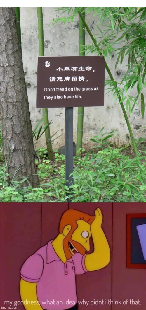 image tagged in my goodness what an idea why didn't i think of that,grass,life,captain obvious,organism,stupid signs | made w/ Imgflip meme maker