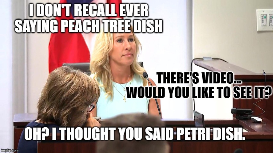 Margie Perjuring | I DON'T RECALL EVER SAYING PEACH TREE DISH; THERE'S VIDEO... WOULD YOU LIKE TO SEE IT? OH? I THOUGHT YOU SAID PETRI DISH. | image tagged in margie perjuring | made w/ Imgflip meme maker