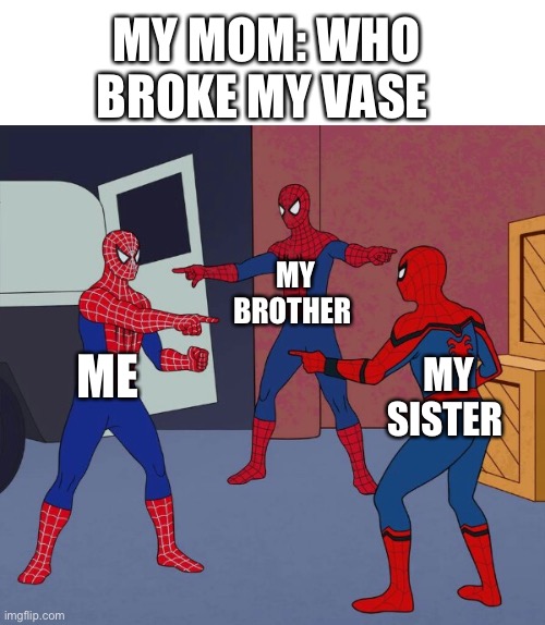 (｀∀´)Ψ | MY MOM: WHO BROKE MY VASE; MY BROTHER; ME; MY SISTER | image tagged in spider man triple | made w/ Imgflip meme maker