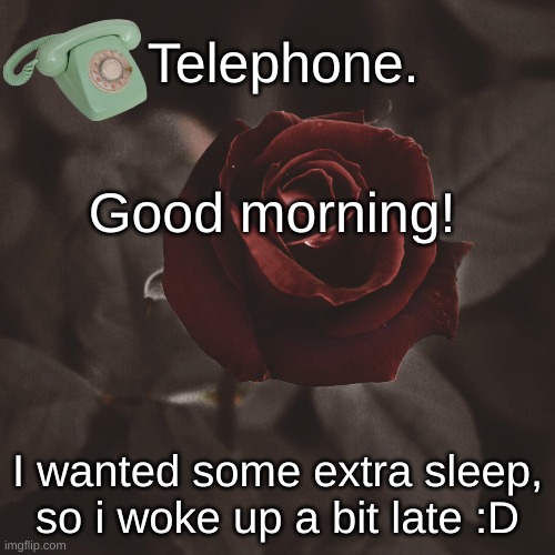 Good morning! I wanted some extra sleep, so i woke up a bit late :D | image tagged in template | made w/ Imgflip meme maker