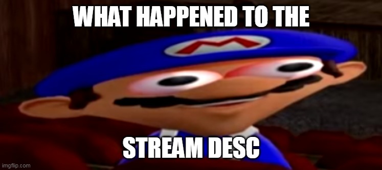 smg4 stare | WHAT HAPPENED TO THE; STREAM DESC | image tagged in smg4 stare | made w/ Imgflip meme maker