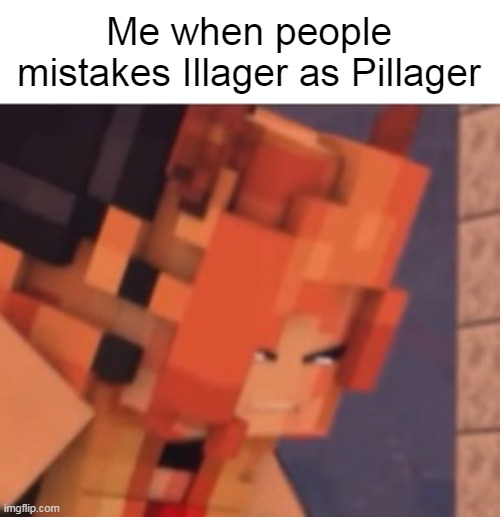 it irks me sometimes | Me when people mistakes Illager as Pillager | image tagged in rainimator,minecraft,illager | made w/ Imgflip meme maker