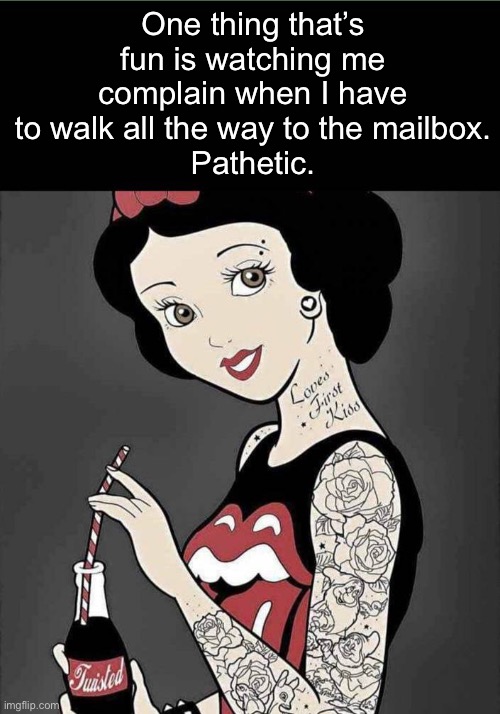 One thing that’s fun is watching me complain when I have to walk all the way to the mailbox.
Pathetic. | made w/ Imgflip meme maker