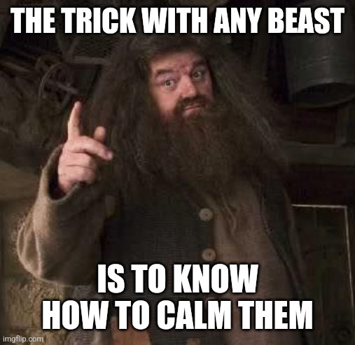 hagrid  | THE TRICK WITH ANY BEAST; IS TO KNOW HOW TO CALM THEM | image tagged in hagrid | made w/ Imgflip meme maker