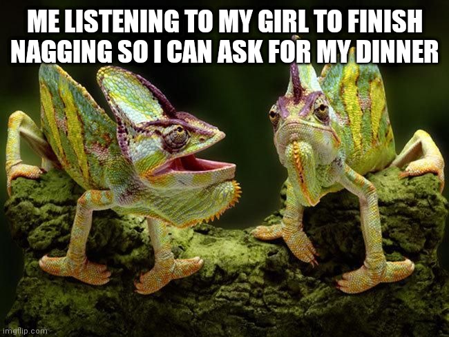 chameleons | ME LISTENING TO MY GIRL TO FINISH NAGGING SO I CAN ASK FOR MY DINNER | image tagged in chameleons | made w/ Imgflip meme maker