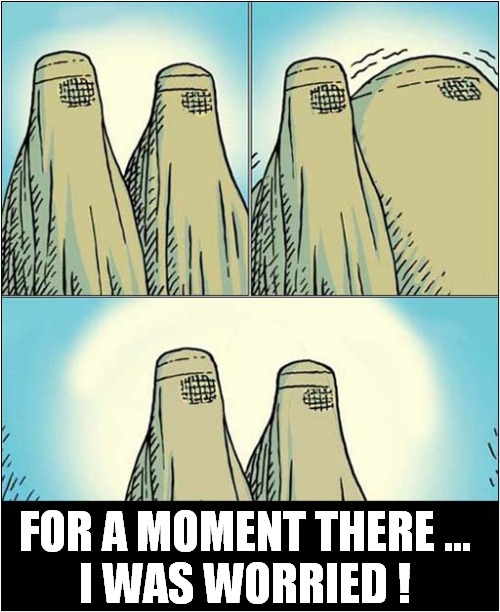 Islamic Sneeze ! | FOR A MOMENT THERE ...
I WAS WORRIED ! | image tagged in burka,sneeze,don't panic,dark humour | made w/ Imgflip meme maker
