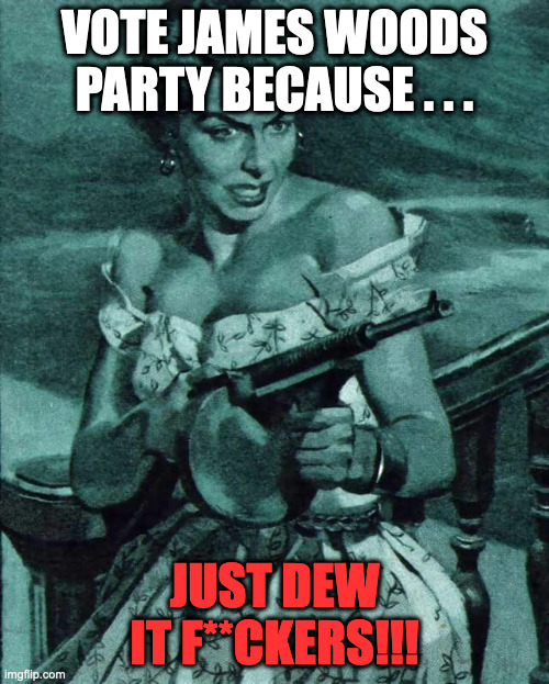 Mad Woman | VOTE JAMES WOODS PARTY BECAUSE . . . JUST DEW IT F**CKERS!!! | image tagged in mad woman | made w/ Imgflip meme maker