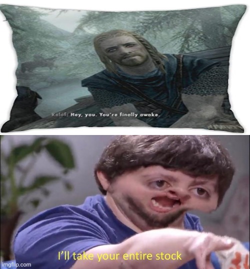 Best pillow for gamers | image tagged in i'll take your entire stock,gaming,skyrim | made w/ Imgflip meme maker
