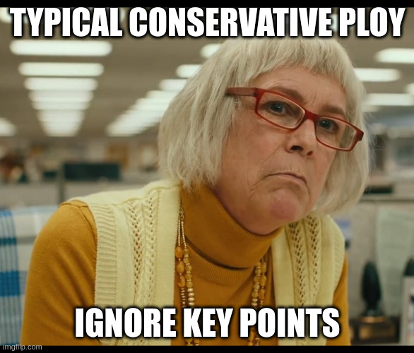 Auditor Bitch | TYPICAL CONSERVATIVE PLOY; IGNORE KEY POINTS | image tagged in auditor bitch | made w/ Imgflip meme maker