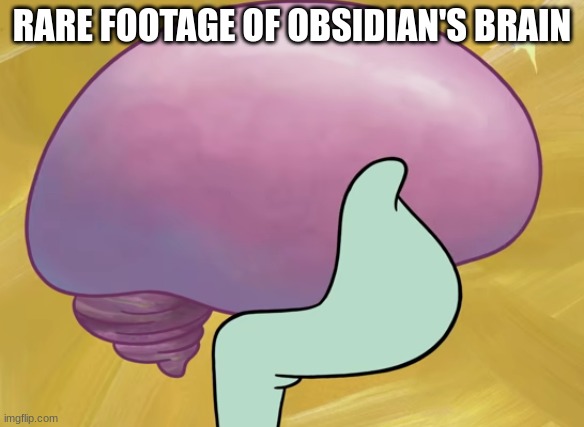 Squidward Smooth Brain | RARE FOOTAGE OF OBSIDIAN'S BRAIN | image tagged in squidward smooth brain | made w/ Imgflip meme maker