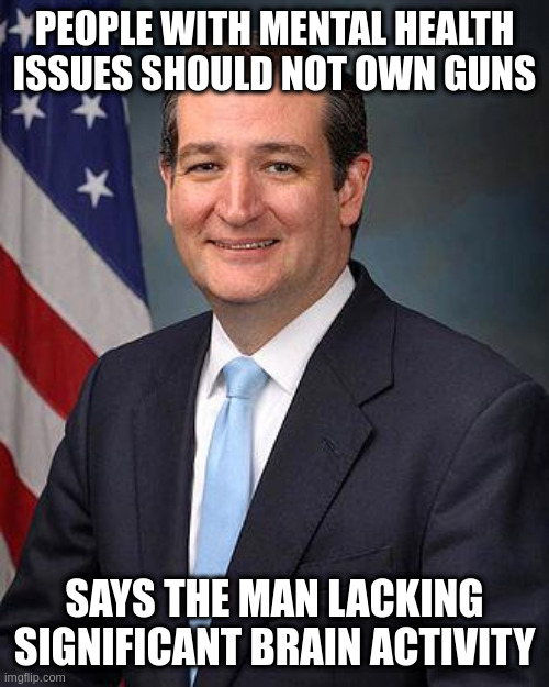 Ted Cruz | PEOPLE WITH MENTAL HEALTH ISSUES SHOULD NOT OWN GUNS; SAYS THE MAN LACKING SIGNIFICANT BRAIN ACTIVITY | image tagged in ted cruz | made w/ Imgflip meme maker