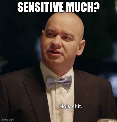 Holy shit | SENSITIVE MUCH? | image tagged in holy shit | made w/ Imgflip meme maker