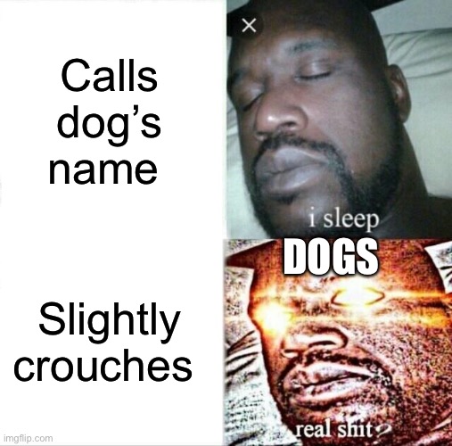 Image Title 3.0 | Calls dog’s name; DOGS; Slightly crouches | image tagged in memes,sleeping shaq | made w/ Imgflip meme maker