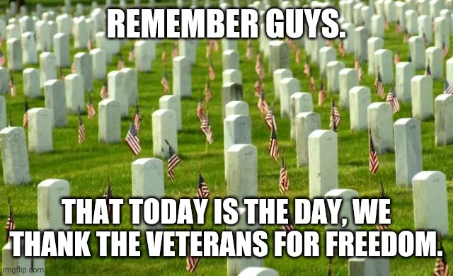 Happy Memorial day, imgflip. | REMEMBER GUYS. THAT TODAY IS THE DAY, WE THANK THE VETERANS FOR FREEDOM. | image tagged in memorial day | made w/ Imgflip meme maker