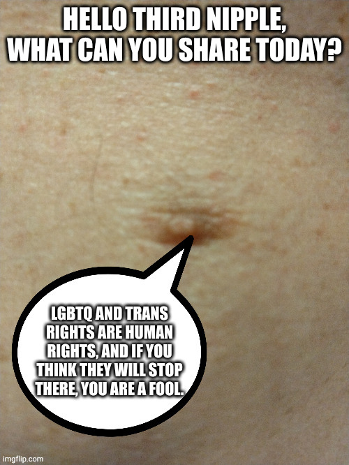Remember, as they try and strip your rights, they are also having degenerate orgies and sodomizing each other. | HELLO THIRD NIPPLE, WHAT CAN YOU SHARE TODAY? LGBTQ AND TRANS RIGHTS ARE HUMAN RIGHTS, AND IF YOU THINK THEY WILL STOP THERE, YOU ARE A FOOL. | image tagged in sezmo's third nipple | made w/ Imgflip meme maker