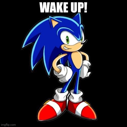 You're Too Slow Sonic Meme | WAKE UP! | image tagged in memes,you're too slow sonic | made w/ Imgflip meme maker