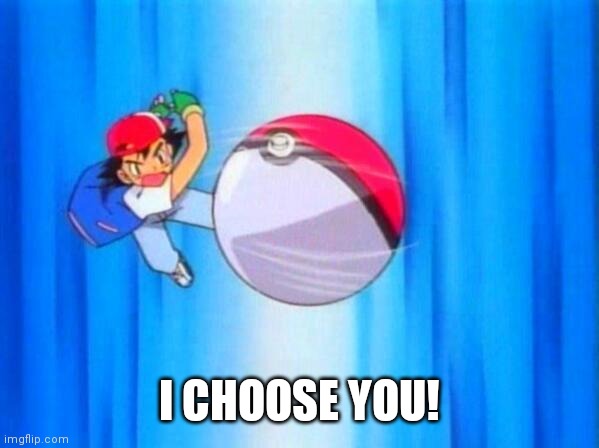 I choose you! | I CHOOSE YOU! | image tagged in i choose you | made w/ Imgflip meme maker