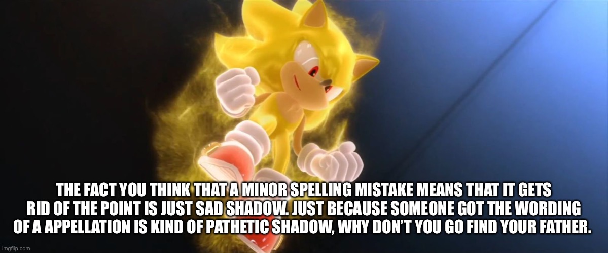 Super Sonic | THE FACT YOU THINK THAT A MINOR SPELLING MISTAKE MEANS THAT IT GETS RID OF THE POINT IS JUST SAD SHADOW. JUST BECAUSE SOMEONE GOT THE WORDIN | image tagged in super sonic | made w/ Imgflip meme maker