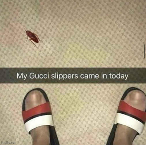 Drip rite guys | made w/ Imgflip meme maker