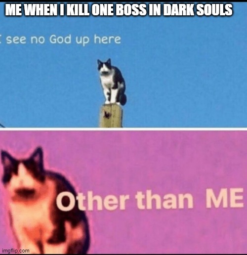 i am the only one? | ME WHEN I KILL ONE BOSS IN DARK SOULS | image tagged in i see no god up here other than me,dark souls | made w/ Imgflip meme maker