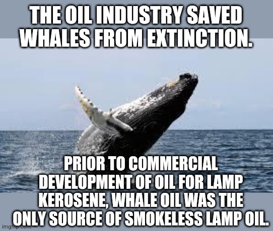 History sucks if you are an environmental extremist. | THE OIL INDUSTRY SAVED WHALES FROM EXTINCTION. PRIOR TO COMMERCIAL DEVELOPMENT OF OIL FOR LAMP KEROSENE, WHALE OIL WAS THE ONLY SOURCE OF SMOKELESS LAMP OIL. | image tagged in whale | made w/ Imgflip meme maker