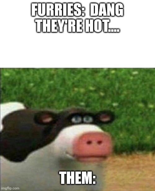 Low quality meme | FURRIES:  DANG THEY'RE HOT.... THEM: | image tagged in perhaps cow | made w/ Imgflip meme maker