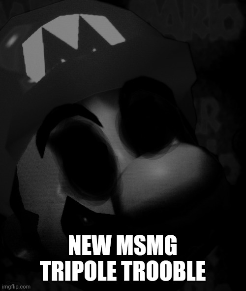 NEW MSMG TRIPOLE TROOBLE | image tagged in cursed title | made w/ Imgflip meme maker