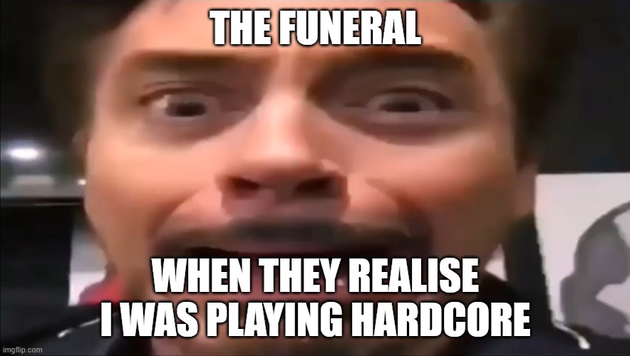 minecraft meme | THE FUNERAL; WHEN THEY REALISE I WAS PLAYING HARDCORE | image tagged in robert downey jr screaming | made w/ Imgflip meme maker