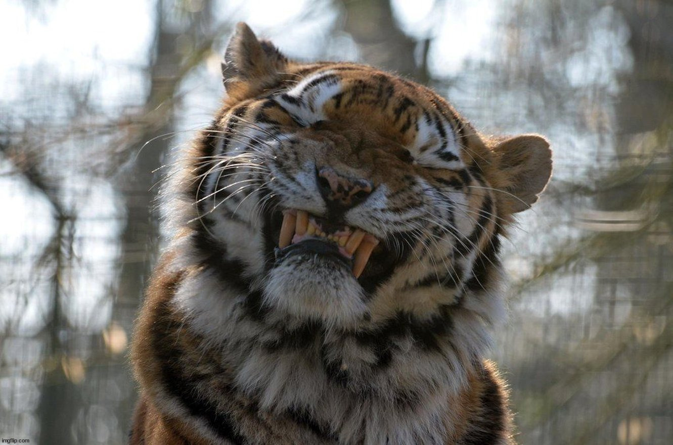 Smile and the whole world smiles at you | image tagged in awesome | made w/ Imgflip meme maker