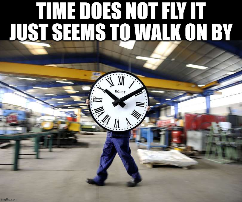 TIME DOES NOT FLY IT JUST SEEMS TO WALK ON BY | image tagged in eye roll | made w/ Imgflip meme maker