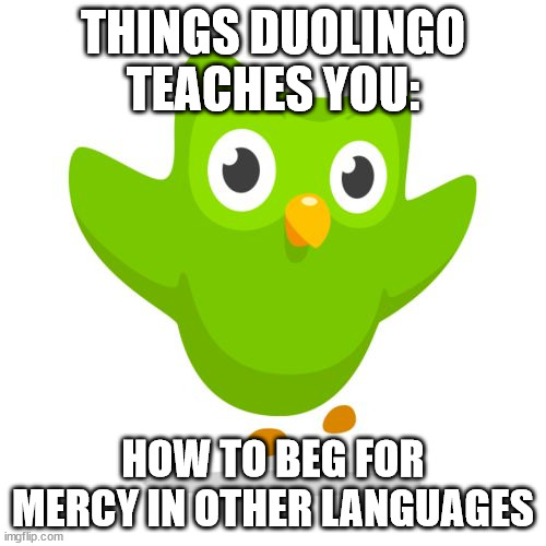 spanish or vanish | THINGS DUOLINGO TEACHES YOU:; HOW TO BEG FOR MERCY IN OTHER LANGUAGES | image tagged in things duolingo teaches you,spanish or vanish,french or trench | made w/ Imgflip meme maker
