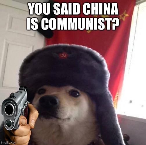 Russian Doge | YOU SAID CHINA IS COMMUNIST? | image tagged in russian doge | made w/ Imgflip meme maker