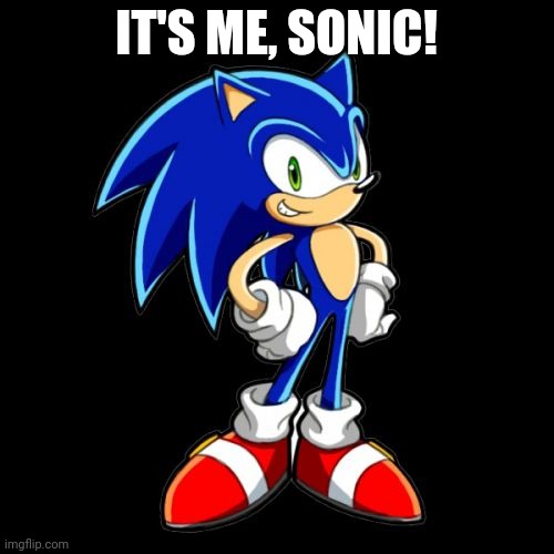 You're Too Slow Sonic Meme | IT'S ME, SONIC! | image tagged in memes,you're too slow sonic | made w/ Imgflip meme maker