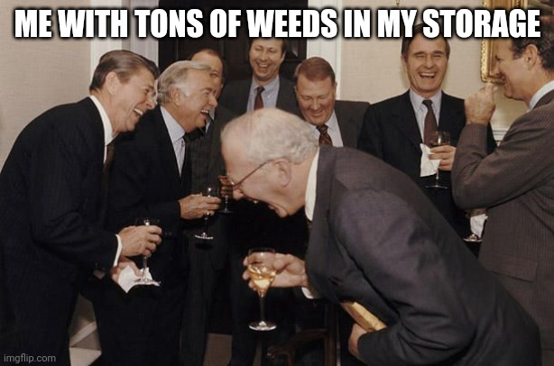 Old Men laughing | ME WITH TONS OF WEEDS IN MY STORAGE | image tagged in old men laughing | made w/ Imgflip meme maker