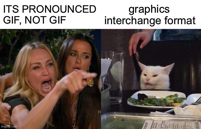 JIF | ITS PRONOUNCED GIF, NOT GIF; graphics interchange format | image tagged in memes,woman yelling at cat | made w/ Imgflip meme maker