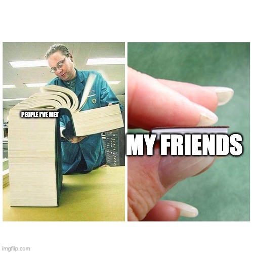 Big book vs Little Book | MY FRIENDS; PEOPLE I'VE MET | image tagged in big book vs little book | made w/ Imgflip meme maker