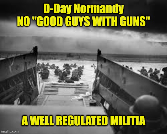 Normandy | D-Day Normandy
NO "GOOD GUYS WITH GUNS"; A WELL REGULATED MILITIA | image tagged in normandy | made w/ Imgflip meme maker