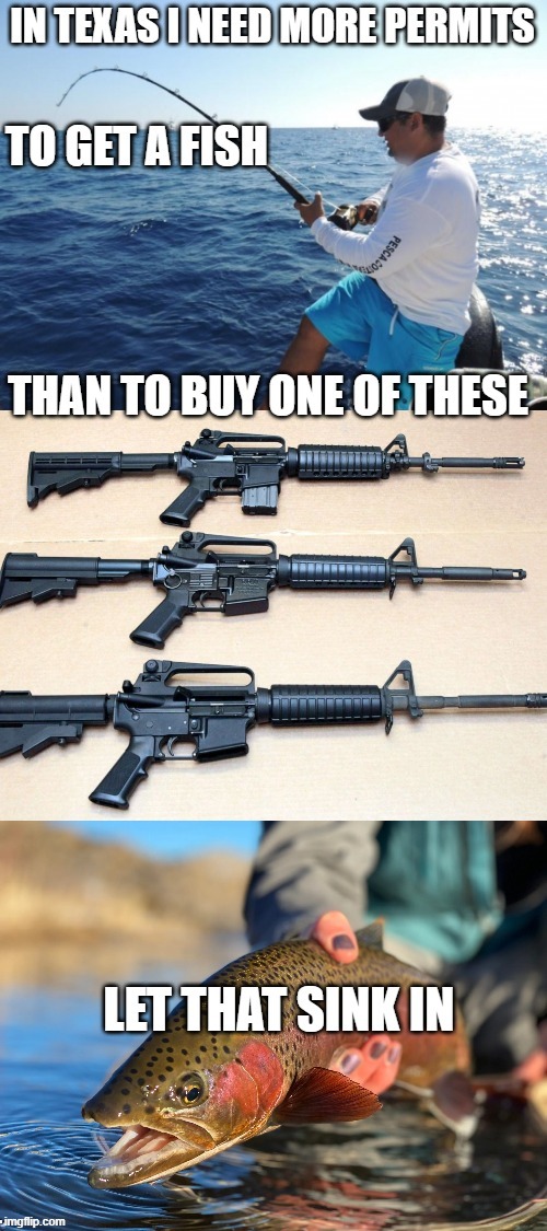 Something is fishy | image tagged in memes,gun control,assault weapons,politics | made w/ Imgflip meme maker