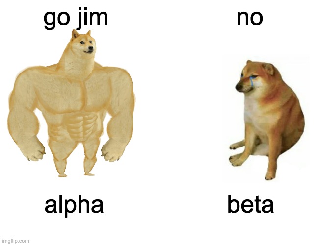 jim | go jim; no; alpha; beta | image tagged in memes,buff doge vs cheems,gym memes | made w/ Imgflip meme maker